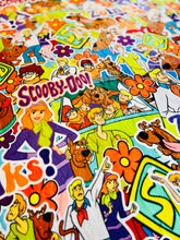 Load image into Gallery viewer, PRE-ORDER - Zoinks